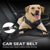 Tactical Dog Leash with Bungee – No Pull Control