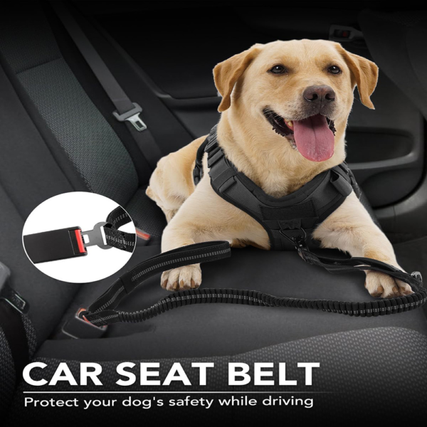 Tactical Dog Leash with Bungee – No Pull Control