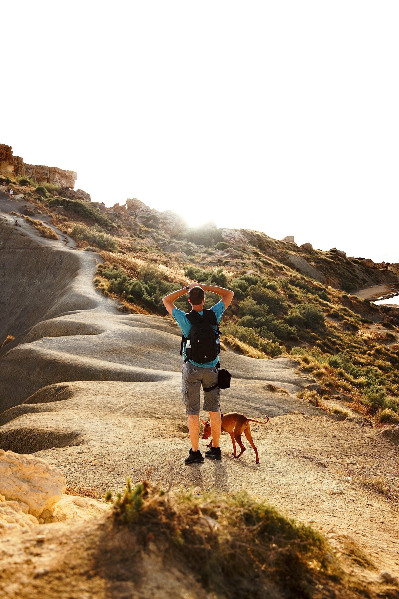A man walks on a rugged trail with his dog under clear sunlight. Ideal for nature and travel themes.