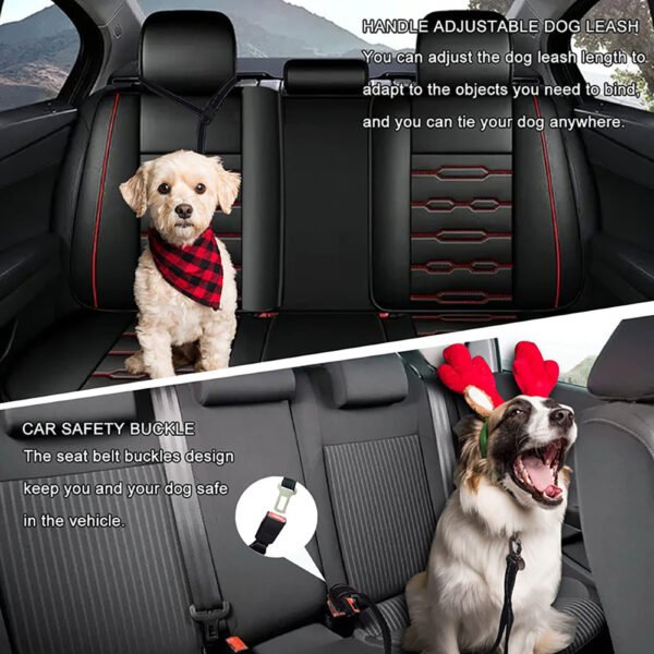 Dual-Handle Reflective Anti-Pull Dog Leash