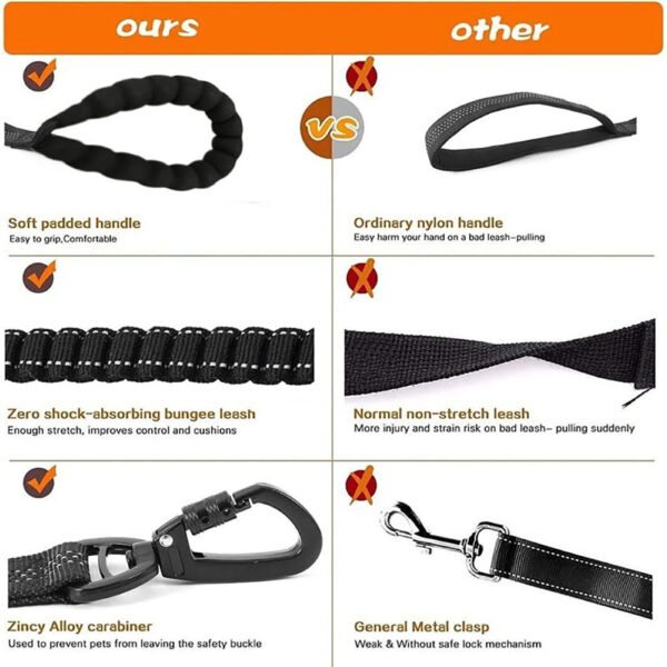 Dual-Handle Reflective Anti-Pull Dog Leash
