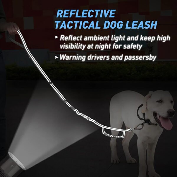 Dual-Handle Reflective Anti-Pull Dog Leash