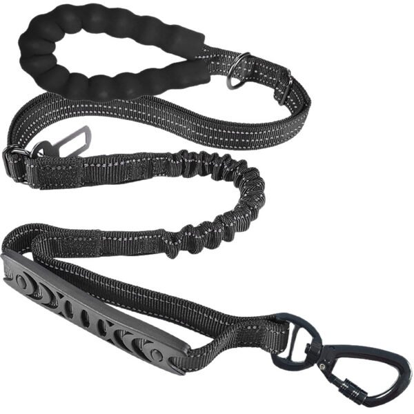 Dual-Handle Reflective Anti-Pull Dog Leash